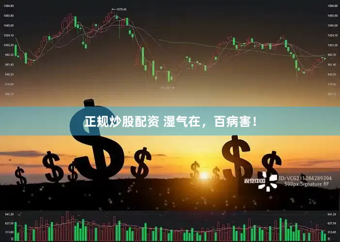 正規(guī)炒股配資 濕氣在，百病害！