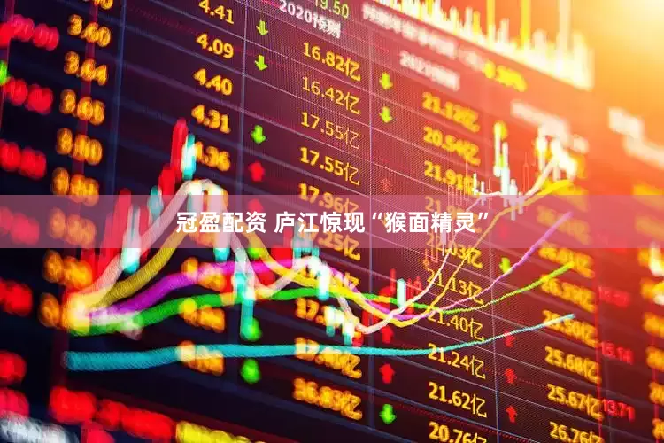冠盈配資 廬江驚現(xiàn)“猴面精靈”