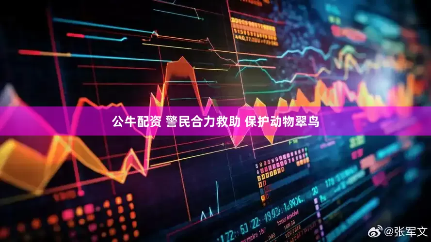 公牛配資 警民合力救助 保護(hù)動(dòng)物翠鳥