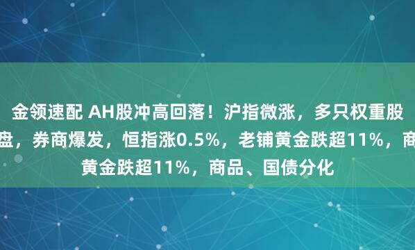 金領(lǐng)速配 AH股沖高回落！滬指微漲，多只權(quán)重股尾盤競價(jià)遭拋盤，券商爆發(fā)，恒指漲0.5%，老鋪黃金跌超11%，商品、國債分化
