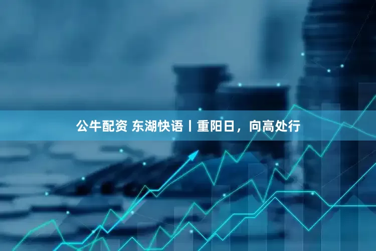 公牛配資 東湖快語丨重陽日，向高處行