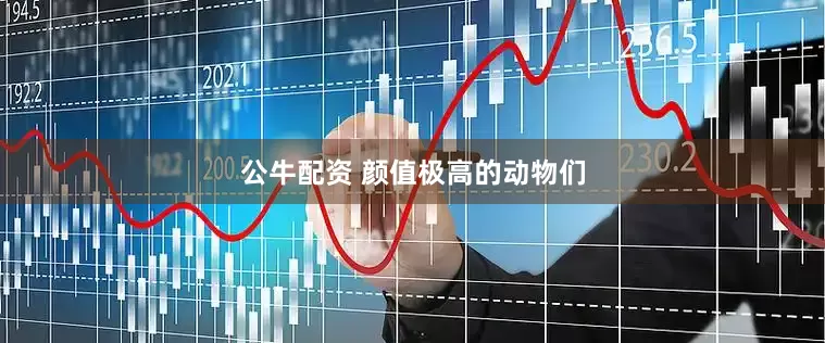 公牛配資 顏值極高的動物們