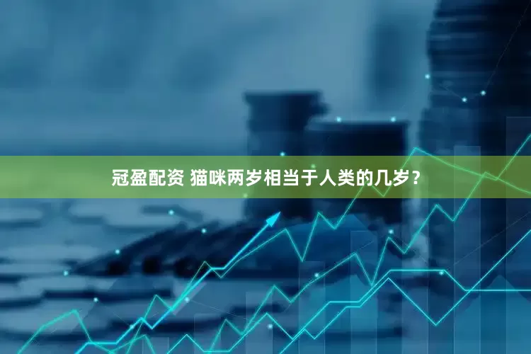 冠盈配資 貓咪兩歲相當(dāng)于人類(lèi)的幾歲？